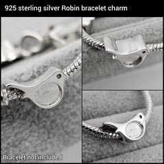 Robin keepsake charm
