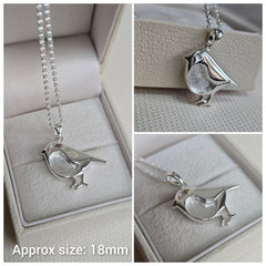 The Everlasting Robin pendant