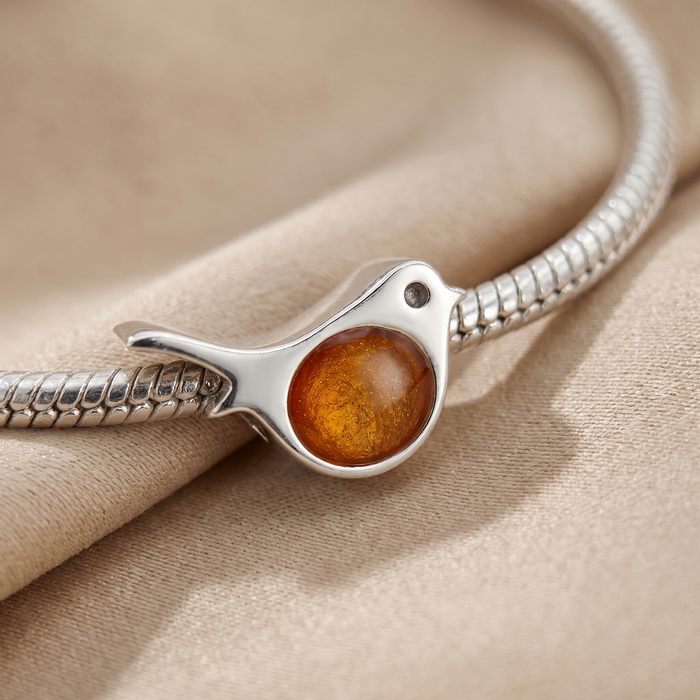 Robin keepsake charm
